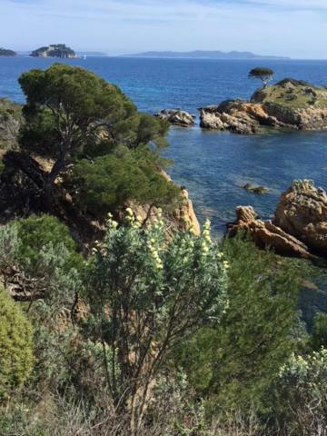 Ecrin De Verdure Sur Le Lavandou - Classement Tourisme 3 Etoiles 외부 사진